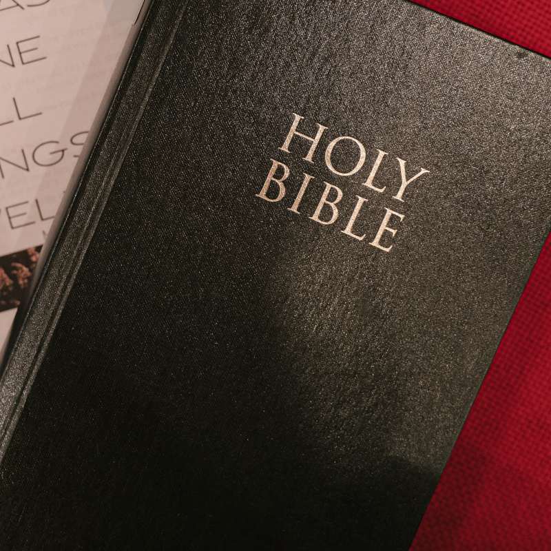 Bible Picture